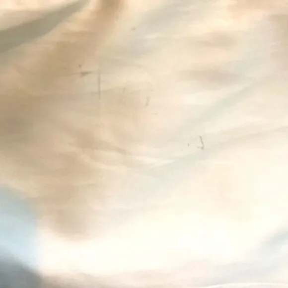 Saint LAURENT Runway Palm Tree Satin Bomber Jacket - Picture 13 of 13